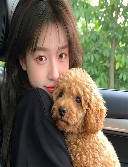 影视评论：《死亡导演》的艺术价值与娱乐性平衡